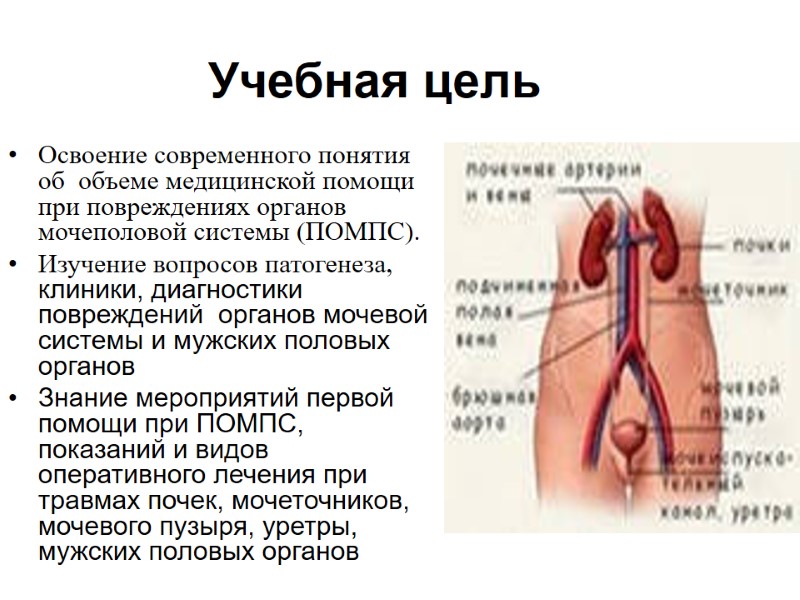 Учебная цель Освоение современного понятия об  объеме медицинской помощи при повреждениях органов мочеполовой